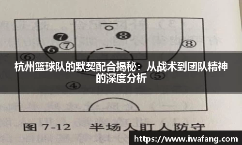 星空体育网站入口